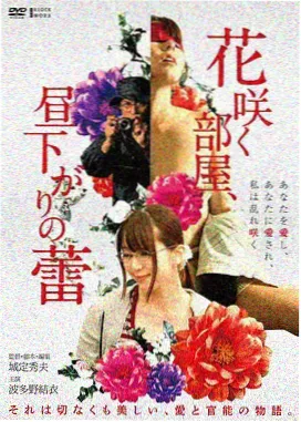 汉江以南剧集封面